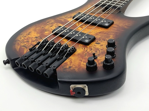 Ibanez - EHB150 5 String Bass 3